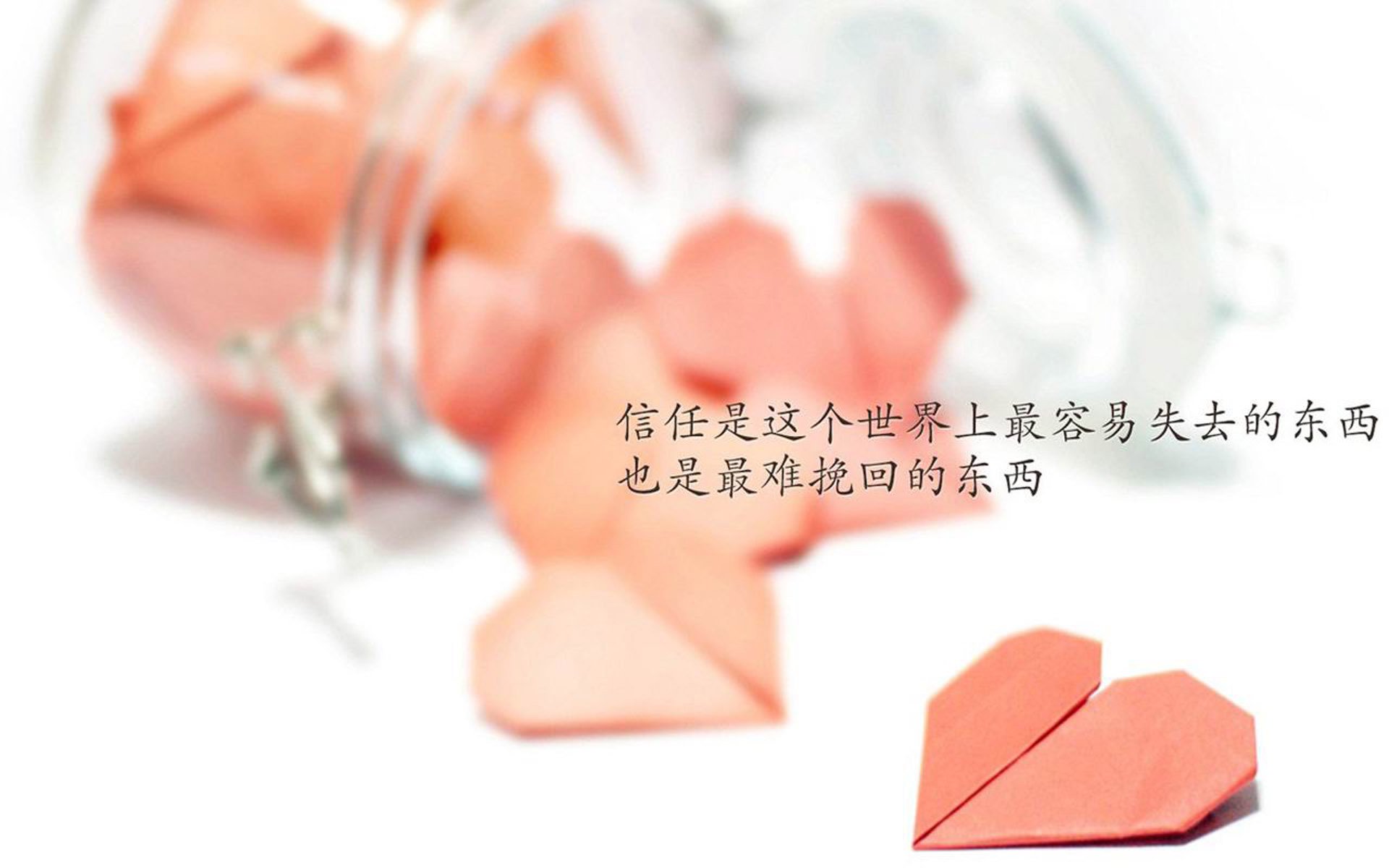 CBA裁判队伍迎来新面孔，备战新赛季，cba裁判合集