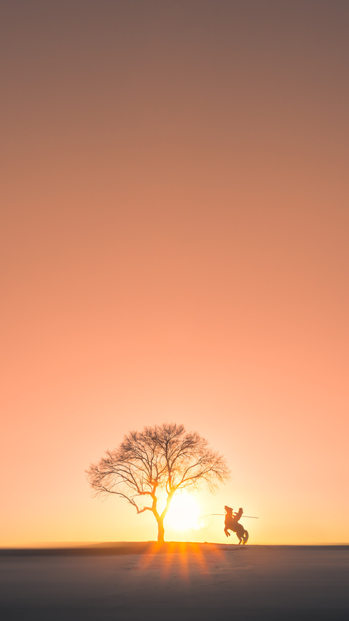 独行侠主帅调整战术成效初现