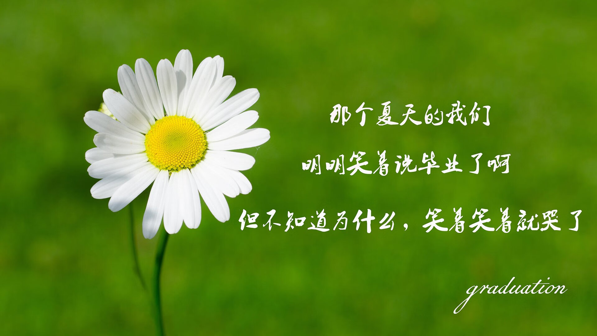 中超球队比赛战术调整，中超联赛分析