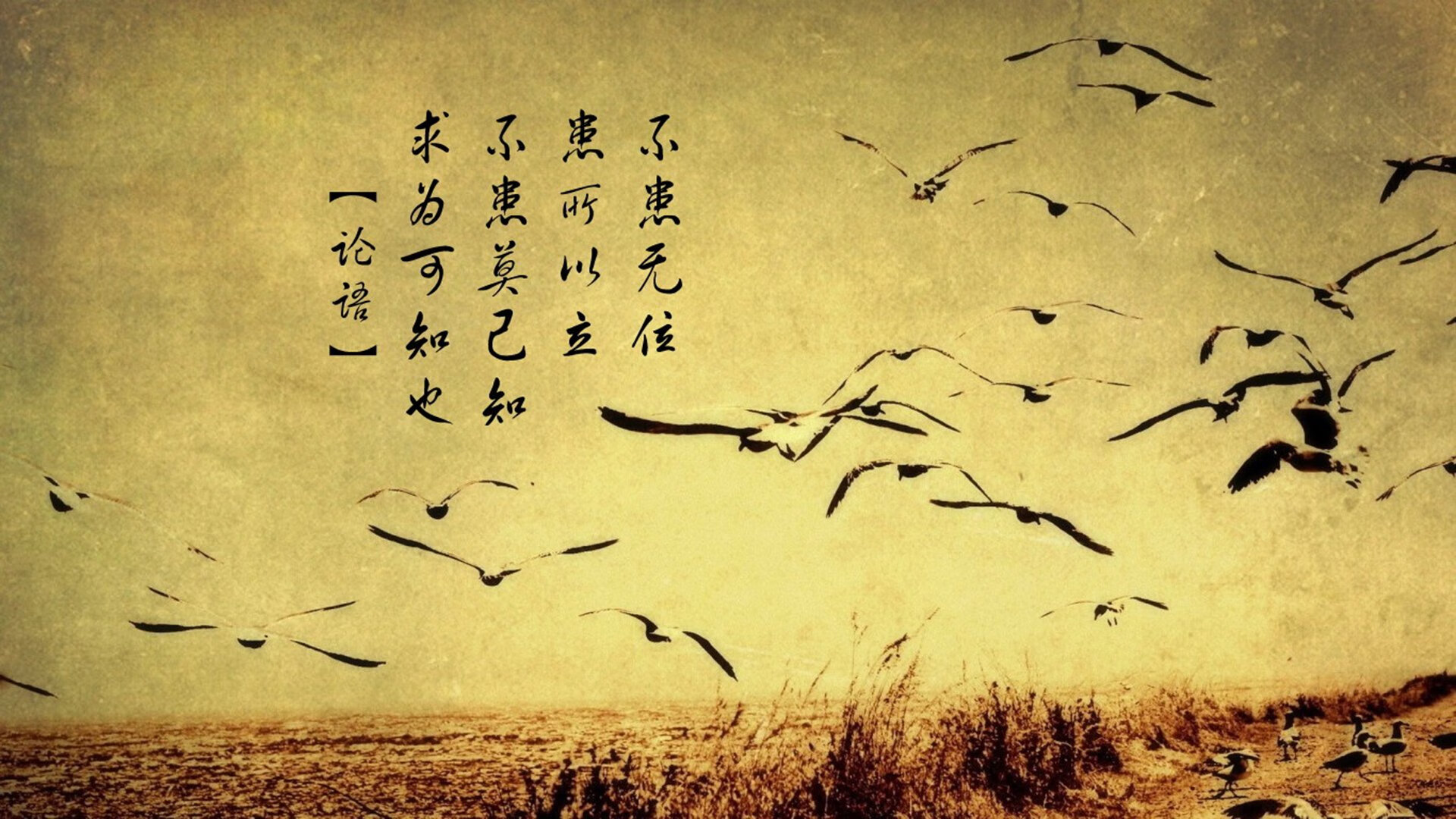 体育赛事运营管理信息系统设计，体育赛事运营方案