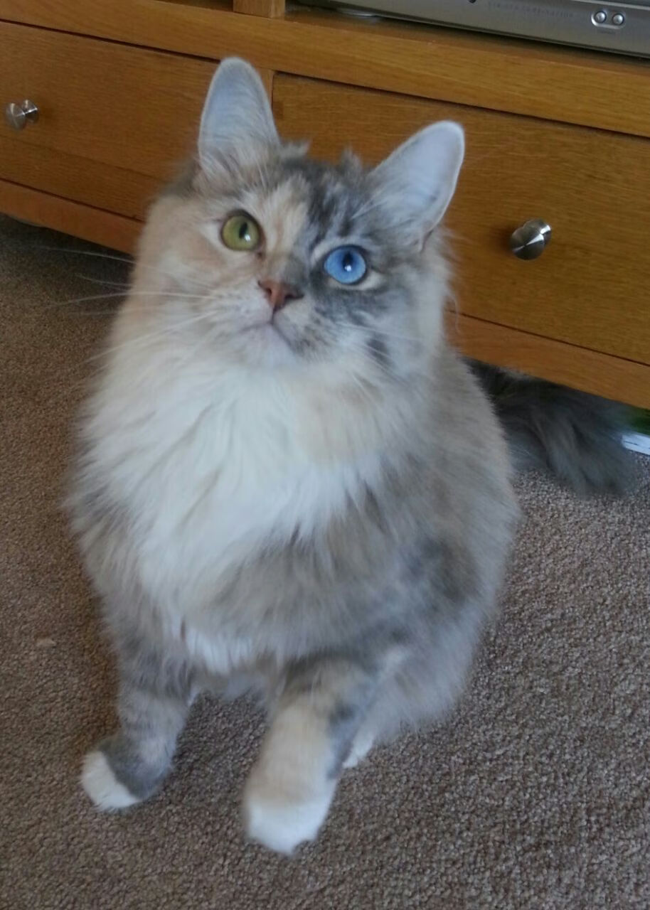 AYX SPORTS-哈登压哨绝杀快船晋级季后赛，哈登赛季会加入快船吗