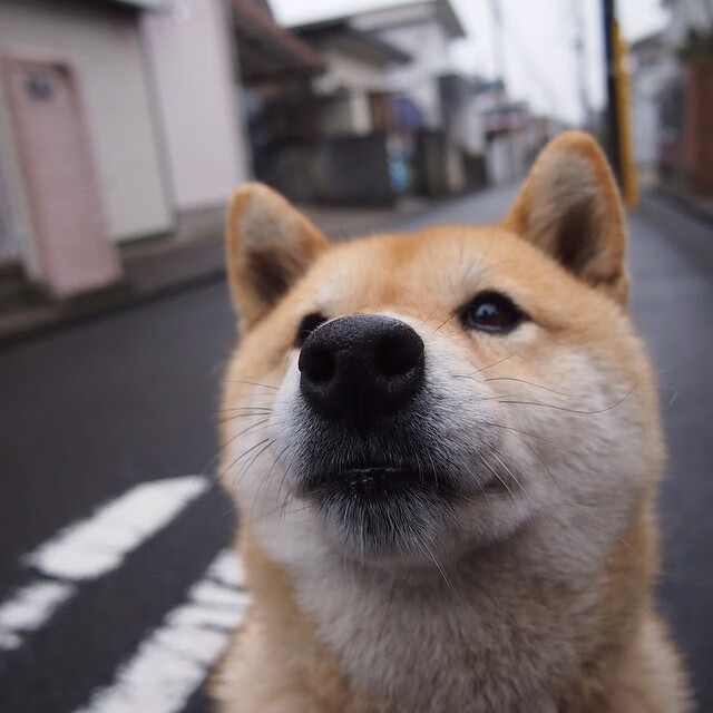 大卫·波波维奇男子100米自由泳决赛强势亮相，波波夫 自由泳
